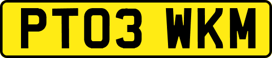 PT03WKM