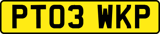 PT03WKP