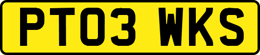 PT03WKS