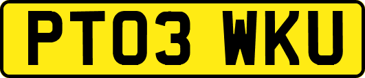 PT03WKU