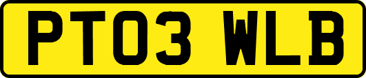 PT03WLB