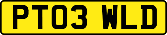 PT03WLD
