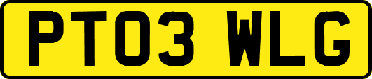 PT03WLG