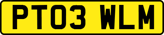 PT03WLM