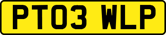 PT03WLP