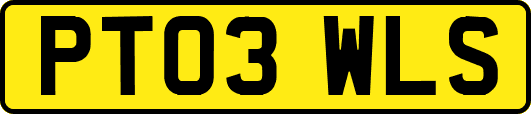 PT03WLS