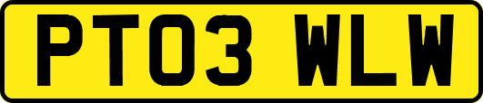 PT03WLW