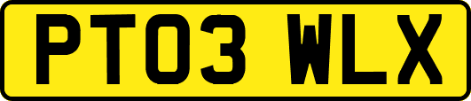 PT03WLX
