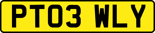 PT03WLY
