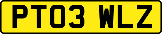 PT03WLZ