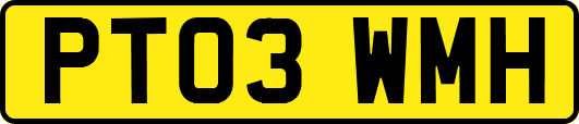 PT03WMH