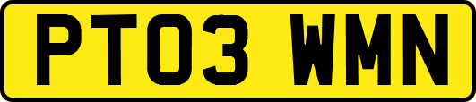 PT03WMN