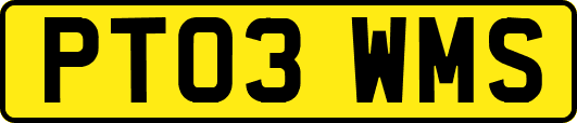 PT03WMS