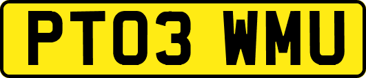 PT03WMU
