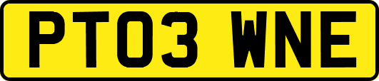 PT03WNE