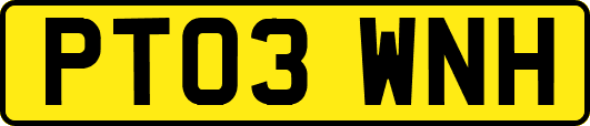 PT03WNH