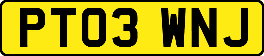 PT03WNJ