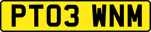 PT03WNM
