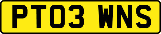 PT03WNS