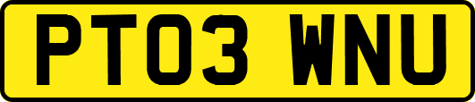 PT03WNU
