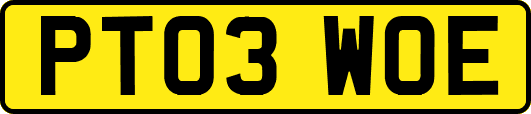 PT03WOE