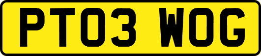 PT03WOG