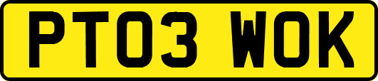 PT03WOK