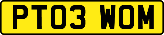PT03WOM
