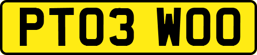 PT03WOO