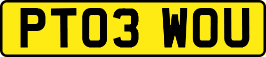 PT03WOU