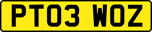 PT03WOZ