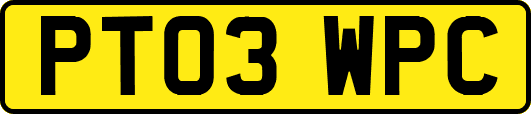 PT03WPC