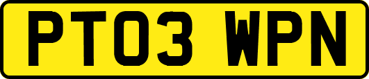 PT03WPN