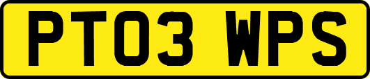 PT03WPS