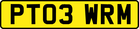 PT03WRM