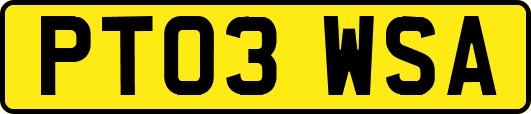 PT03WSA