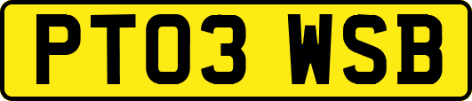 PT03WSB