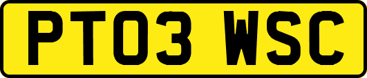 PT03WSC