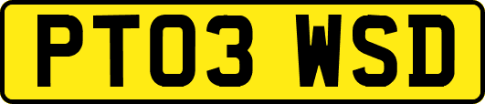 PT03WSD
