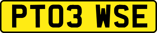 PT03WSE