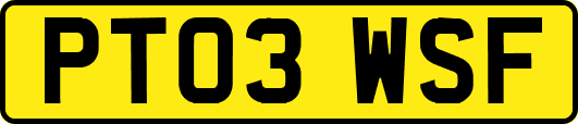 PT03WSF