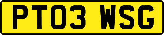 PT03WSG