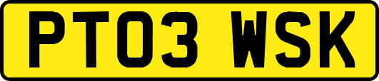 PT03WSK