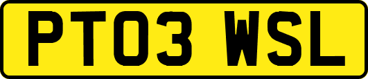 PT03WSL