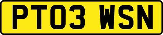 PT03WSN