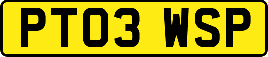 PT03WSP