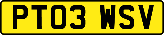 PT03WSV