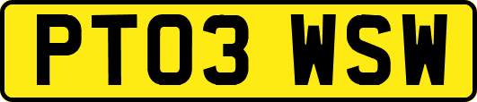 PT03WSW