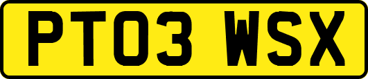 PT03WSX