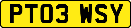 PT03WSY